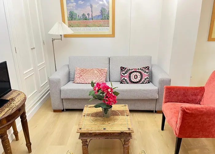 Apartamentos Rg Calle Santiago 46